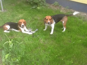 Rusty & Marlee 1