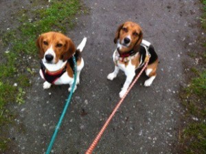 Rusty & Marlee 2