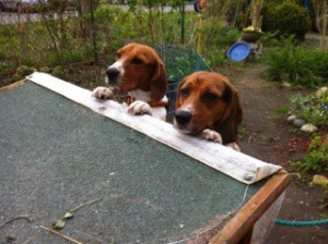 Rusty & Marlee 3