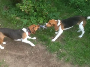 Rusty & Marlee
