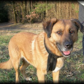 R.I.P. ZOELA