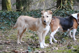 Sally DSC_0281